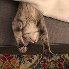 Sometimes the air needs some kneadin’ too.