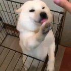 PEOPLE OF NEW... Enjoy some happy 😊