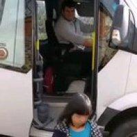 The good boy is ready to serve his master...