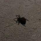 Probably shouldn’t have done that..