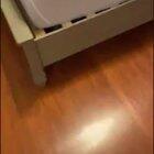 Raymond The Cowardly Dog