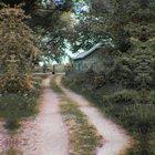 An interesting title