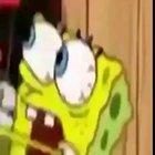 Bobi esponja Vírou o Hitler