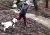 Even the dogs weren't having it ....