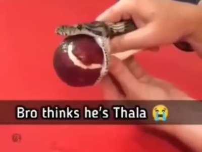 Thala please cumback 😭🙏