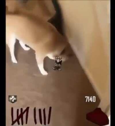 Random meme day 7 FeelsGoodMan