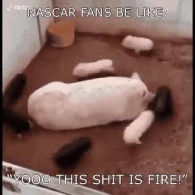 I don’t understand the appeal