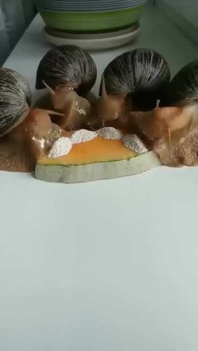 Her: I bet he's watching porn. What he is watching: