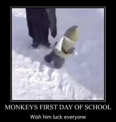 Espero que le vaya bien a Eustaquio.