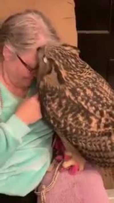 Never thought we could cuddle with an owl!