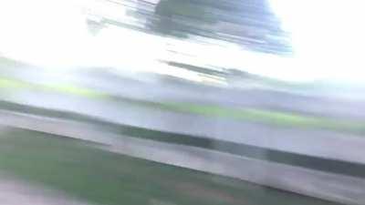 A normal day at the park