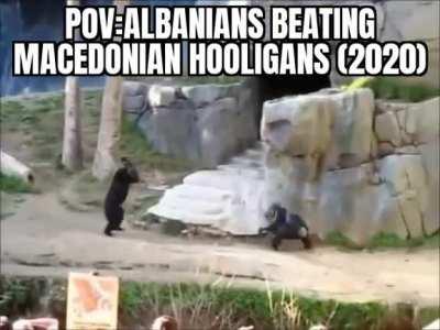 🐵🐵🐵🐵🐵🐵