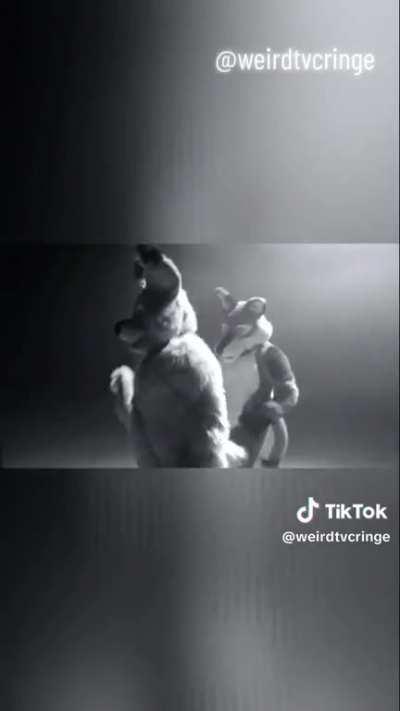 If you like it put a leash on it