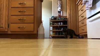 She loves elastics. I didnt shoot her 😂😂