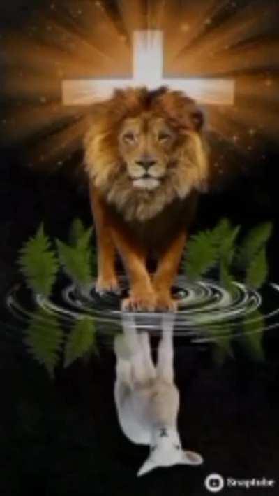 ESTILOZAP - Video #2317