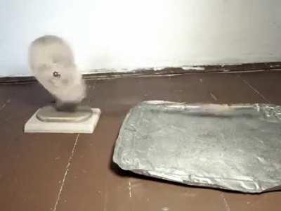 A miracle of modern technology