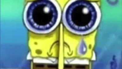 Never Abandon Your Snail