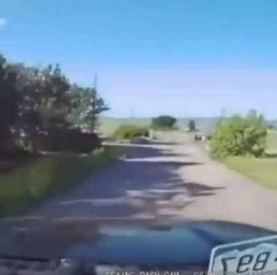 Fellow citizens! The time is now to consume.