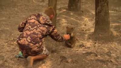 A hunter from a town cut off by raging Australian bushfires is putting his own life on the line to save koalas and other affected wildlife.
