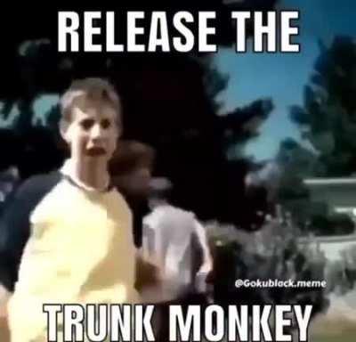 Trunk Monke