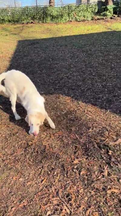 Willa isn&rsquo;t the most coordinated but she still has fun