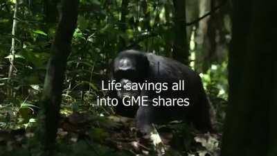 This is exactly how I picture you people