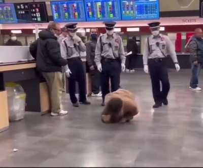 Japenis when the game main character is black