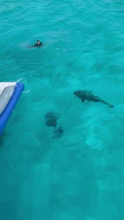 Why wouldn't they tell her? 