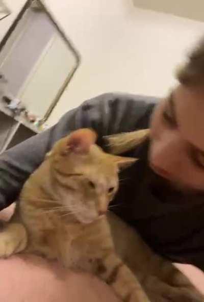 I just love my cat ok