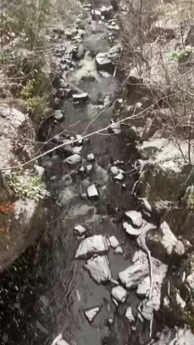 A morning walk through my neighborhood in Duluth