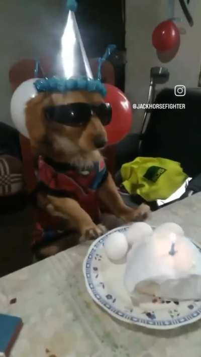 feliz aniversário Julio🎉