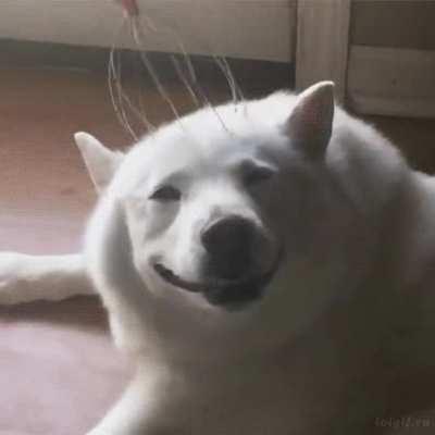 Oh ya…that’s the spot.