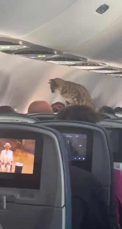 my only response to this would be 