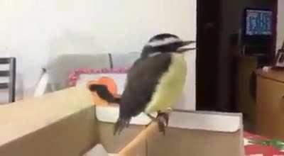 Ficou melhor que a original!