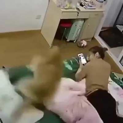 Moonmoon does a super sonic.