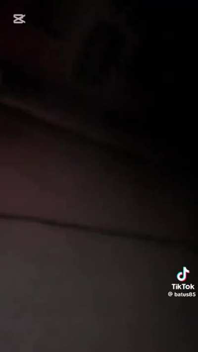 New Video of Poles encountering animals just dropped