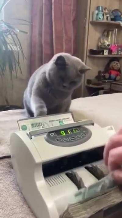 считают российские рубли