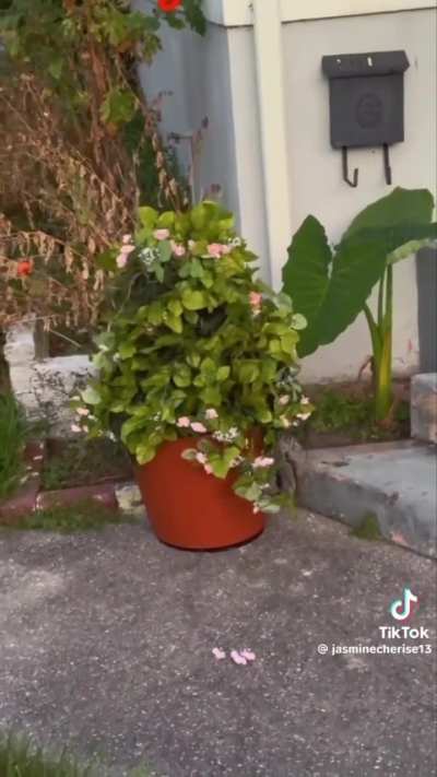 These are my favourite kids' costumes this year