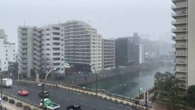 It snowed in Tokyo!