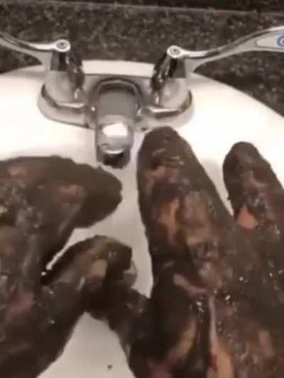 Cursed_Fingers