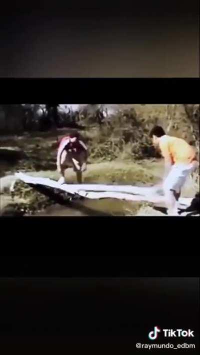 Los pibes las pibas las pibas los pibes