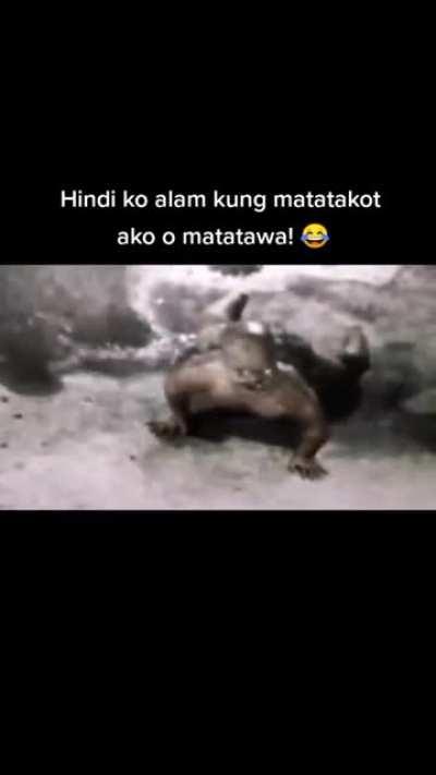 Kuya Kris yung anak nyo ni Slindrina👽