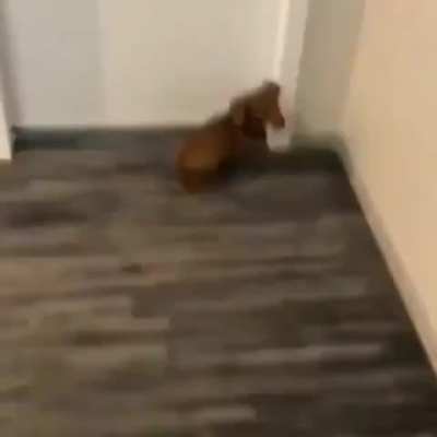 His happy place right here in his bed