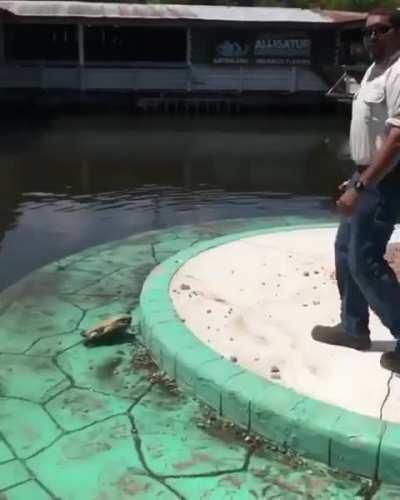 Not all heroes wear a cape