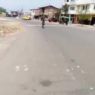 Doing a wheelie without the front wheel