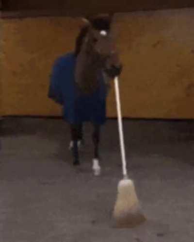 Janitorse, the great cleanser