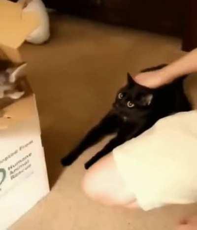 What the hell is that?