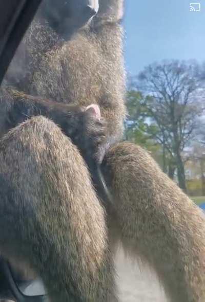 thanks i hate jizz 😰😰😰