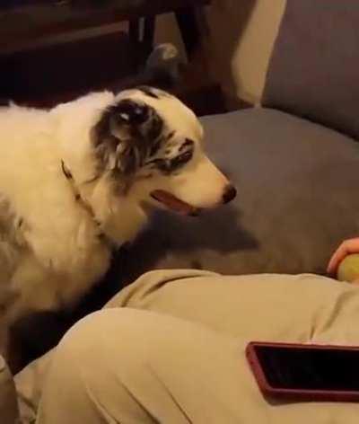 The camera operator is a monster