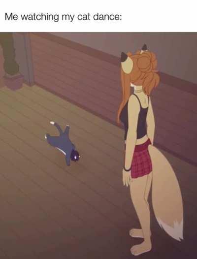 The Kitty Cat is Dancing